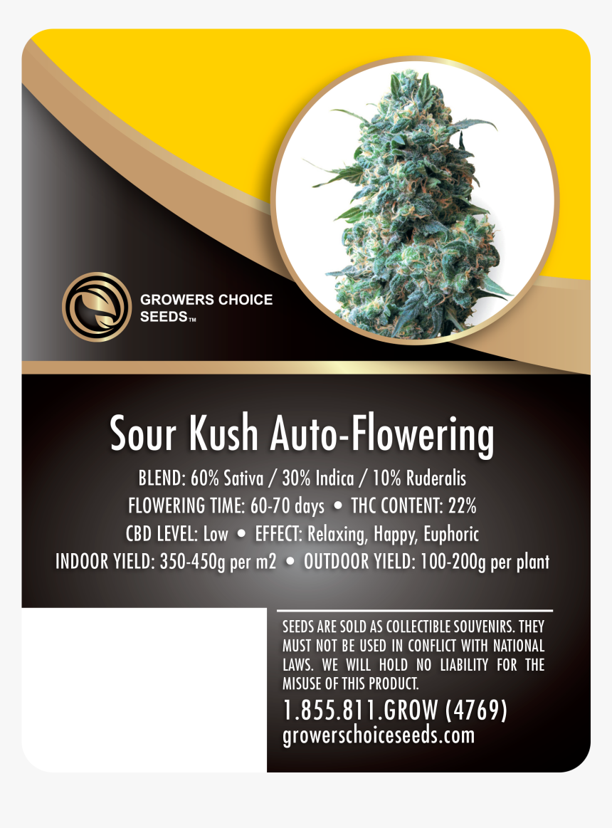 Sour Kush Auto-flowering Feminized Cannabis Seeds - Kush Xl, HD Png Download, Free Download