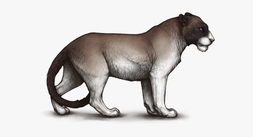 Tigon Mane, HD Png Download, Free Download