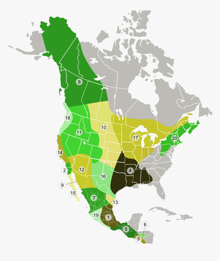 1782 X 1953 0 - Us Take Over Canada, HD Png Download, Free Download