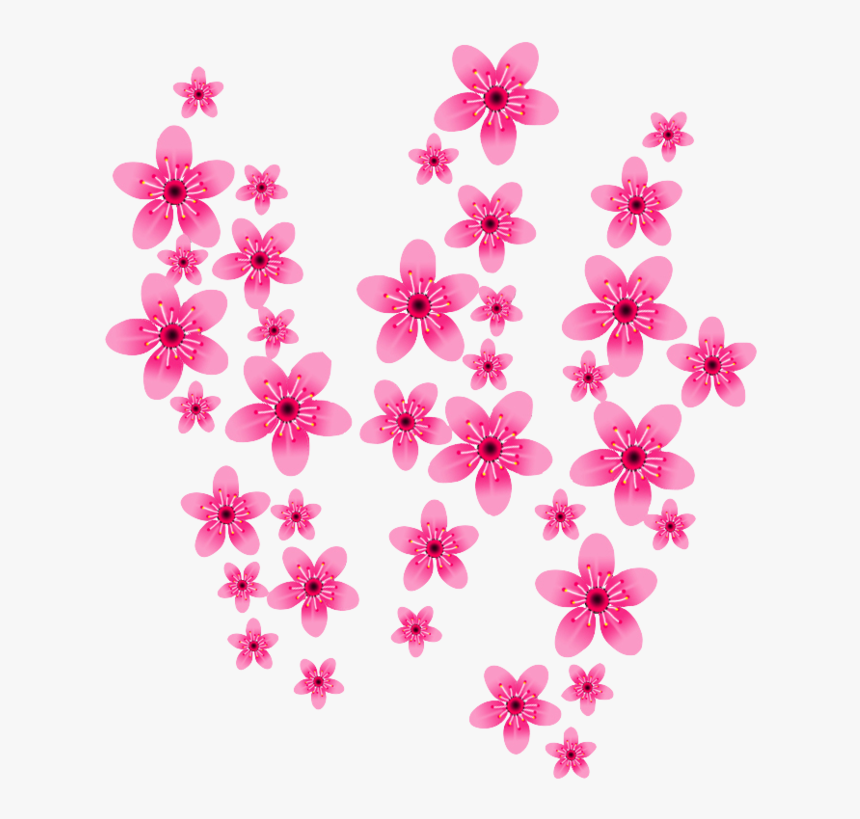 Cherry Blossom Png No Background , Png Download - Cherry Blossom, Transparent Png, Free Download