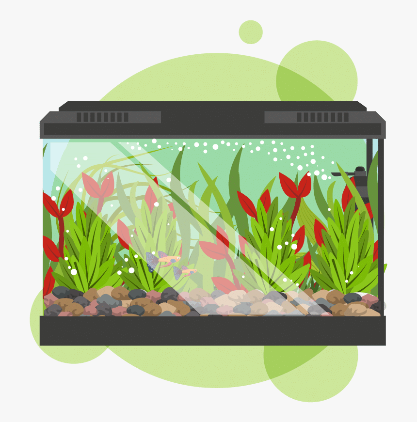 Aquarium, HD Png Download, Free Download