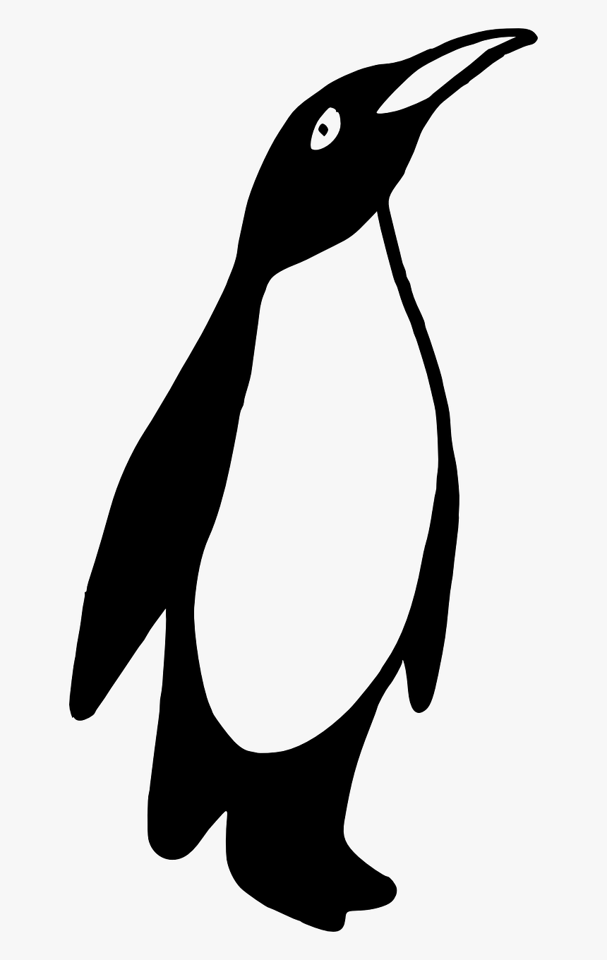 Penguins Images Black N White, HD Png Download, Free Download
