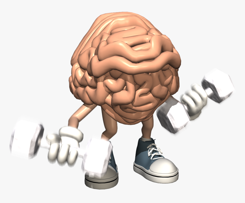 Brain Is Muscle Or Organ, HD Png Download, Free Download