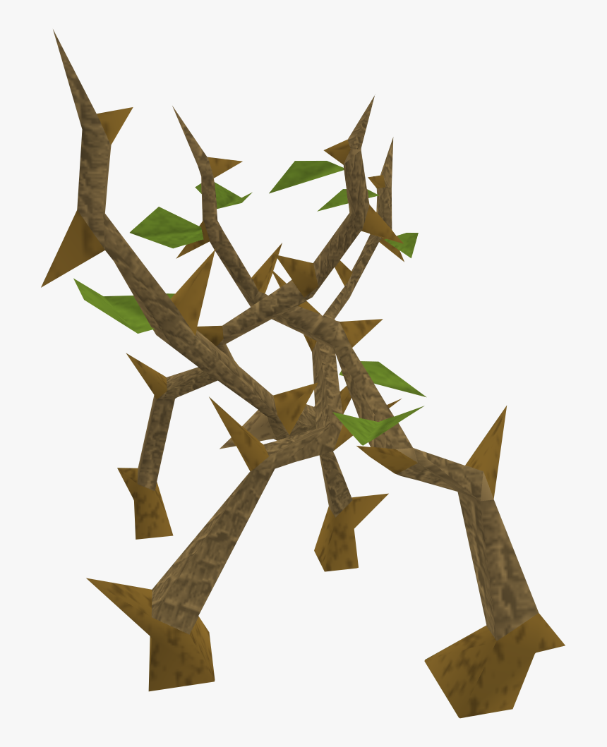 Transparent Jungle Vines Png - Craft, Png Download, Free Download