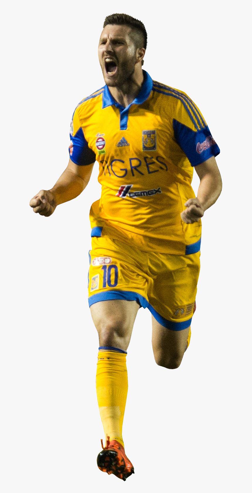 Gignac Tigres Png - Andre Pierre Gignac Png, Transparent Png, Free Download