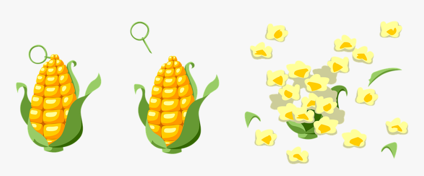 Milho, Explosão, Pipoca, Granada, A Orelha - Corn Grenade, HD Png Download, Free Download