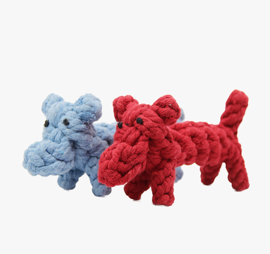 rope teddy bear dog toy