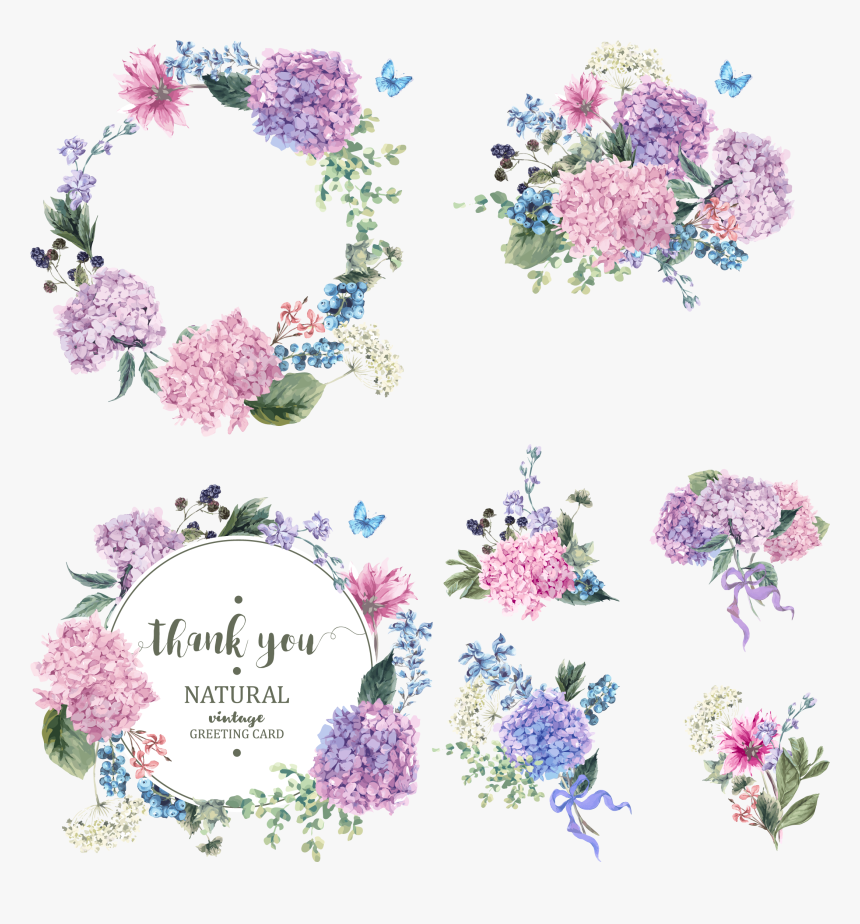 Garden Hydrangea Blossom Colored Bouquet Wreath Transprent - Purple Hydrangea Watercolor Vector, HD Png Download, Free Download