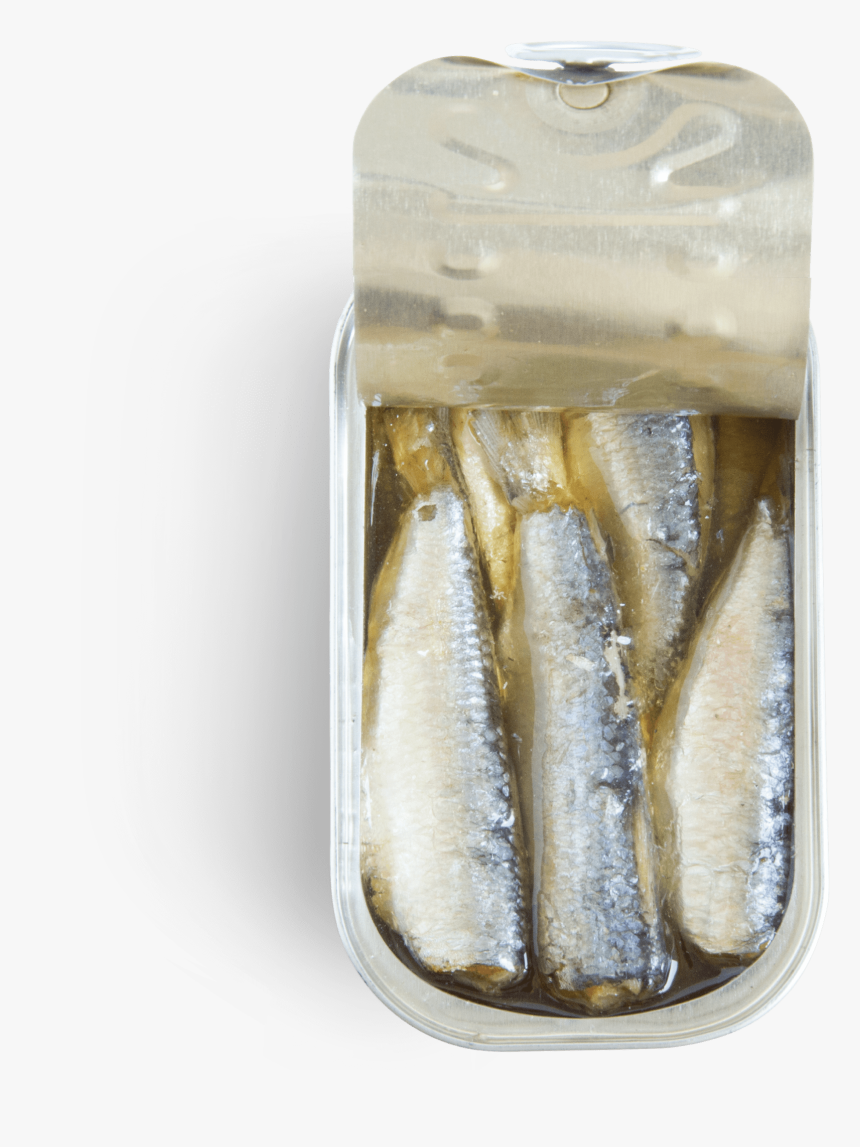 Sardine, HD Png Download, Free Download