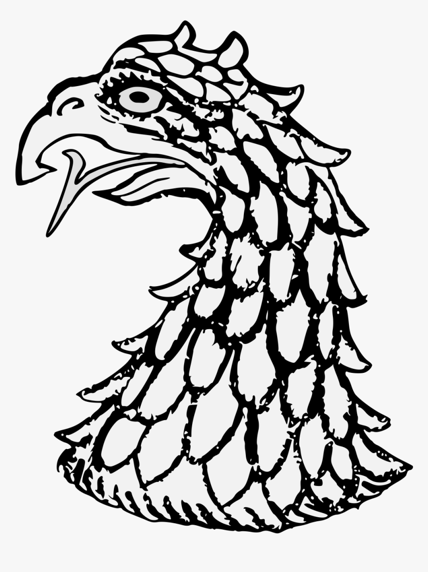 Eagle"s Head Couped - Sketch, HD Png Download, Free Download