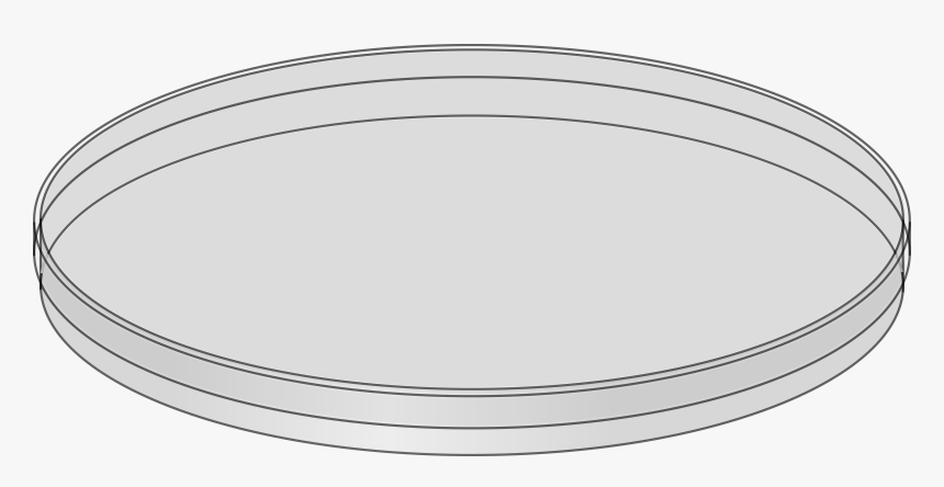 Transparent Dirty Dishes Png - Empty Petri Dishes, Png Download, Free Download