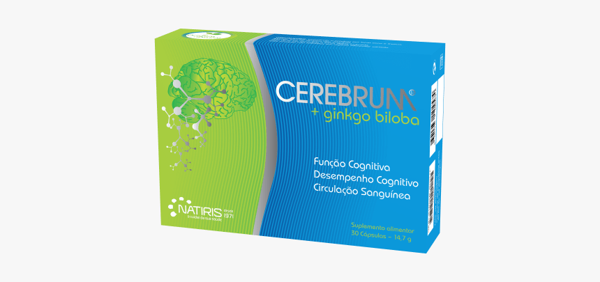 Cerebrum Ginkgo Biloba, HD Png Download, Free Download