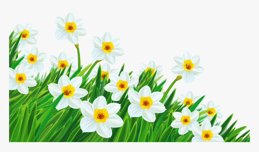 Spring Grass With Flowers Png Transparent Background - Transparent Background Spring Flowers Clipart, Png Download, Free Download