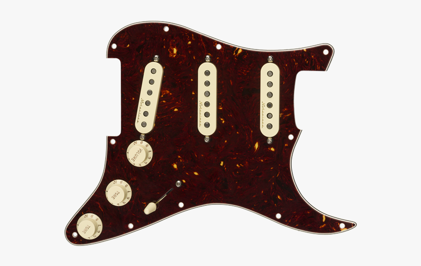 Fender Pre Wired St Pickguard Texas, HD Png Download, Free Download