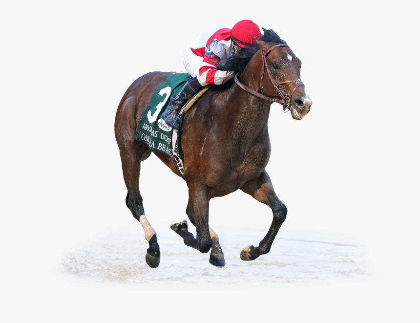 Drawings Of Omaha Beach Kentucky Derby Horse, HD Png Download, Free Download