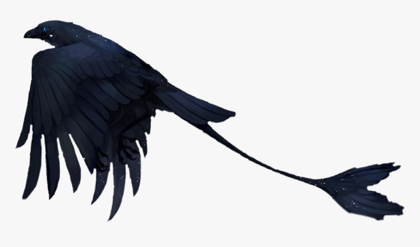 #bird #fantasy #scifi #raven #birds #black #cool #dark - American Crow, HD Png Download, Free Download