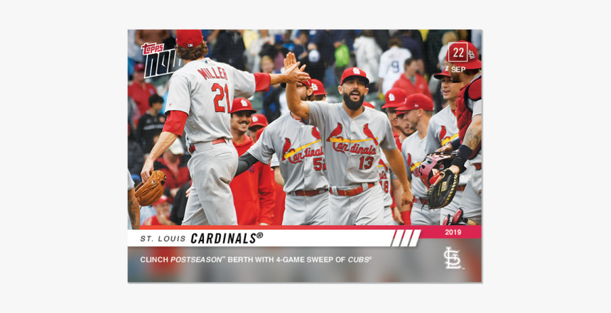 Louis Cardinals - 2019 St Louis Cardinals, HD Png Download, Free Download