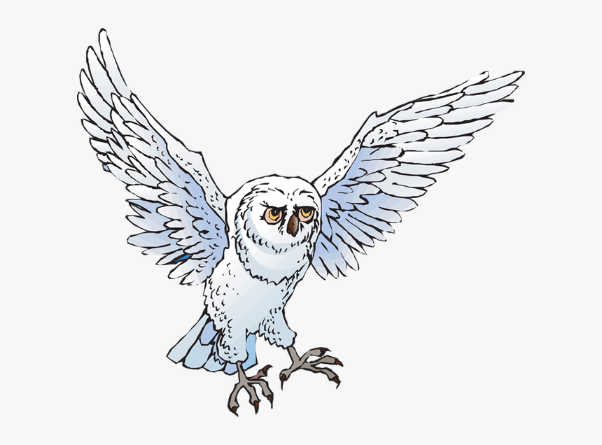 Collection Of Snowy - Transparent Background Snowy Owl Clipart, HD Png Download, Free Download