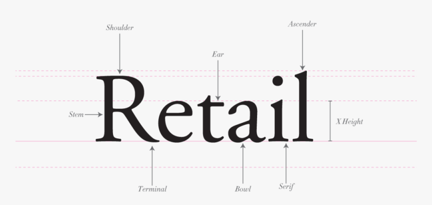 Retail - Ad Hoc, HD Png Download, Free Download