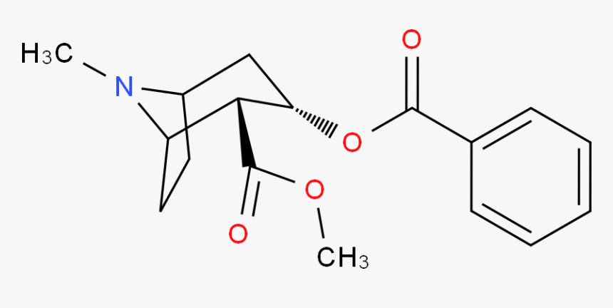 Cocaine 分子结构 Cas 50 36 2) - 2 -( Tert Butylamino )- 1 -( 3 Chlorophenyl Propan, HD Png Download, Free Download