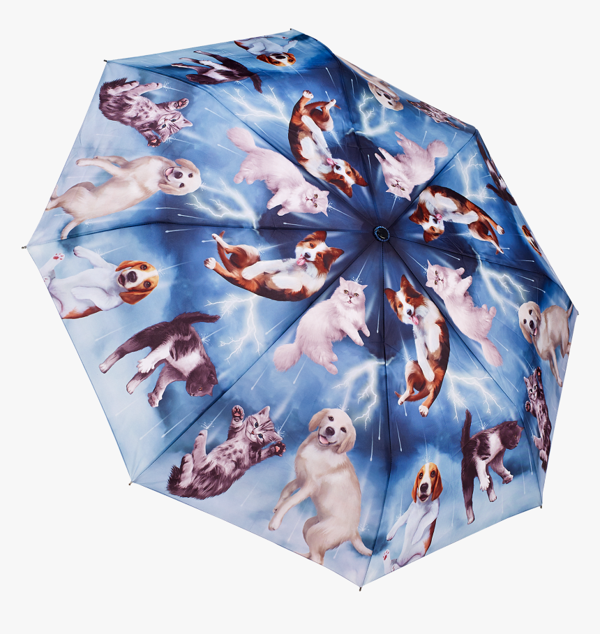 Umbrella, HD Png Download, Free Download