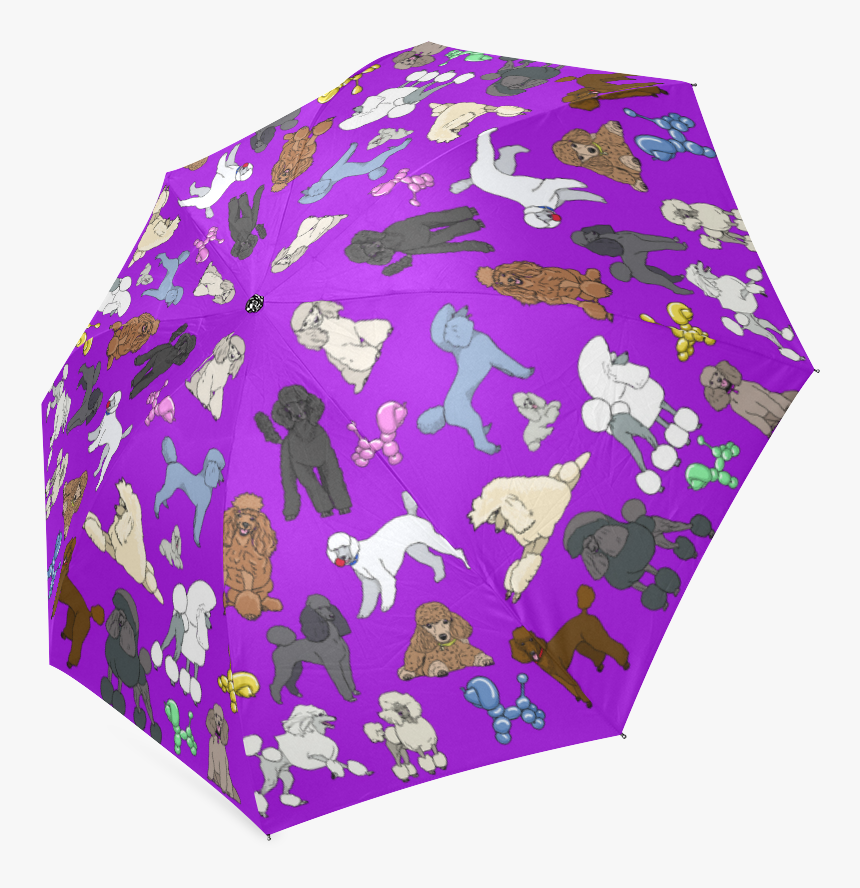 Umbrella, HD Png Download, Free Download