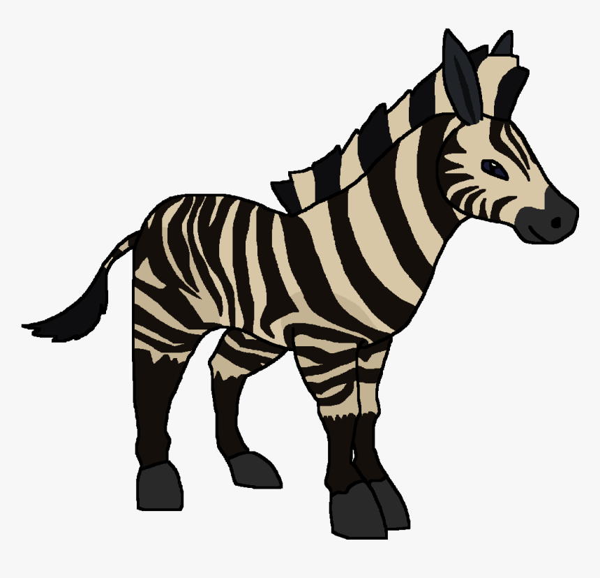 Zebra, HD Png Download, Free Download