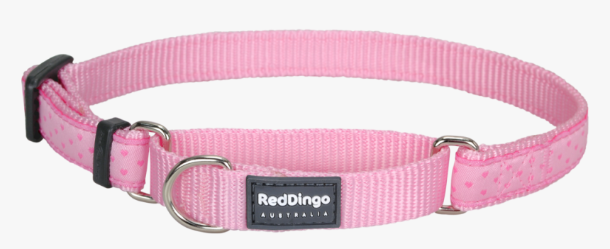 Martingale Love Sprinkles Dog Collar - Light Pink Martingale Dog Collar, HD Png Download, Free Download