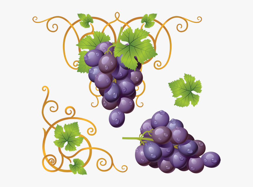 Transparent Background Grape Clipart, HD Png Download, Free Download