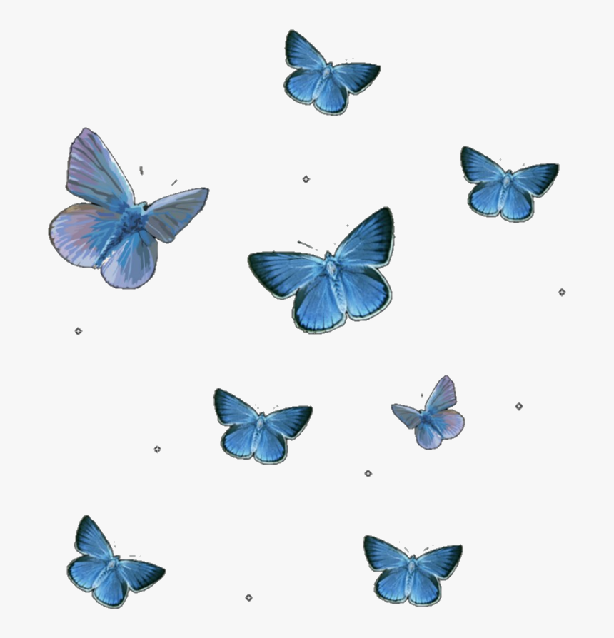 Featured image of post Blue Glow Butterfly Png If you like you can download pictures in icon format or directly in png image format