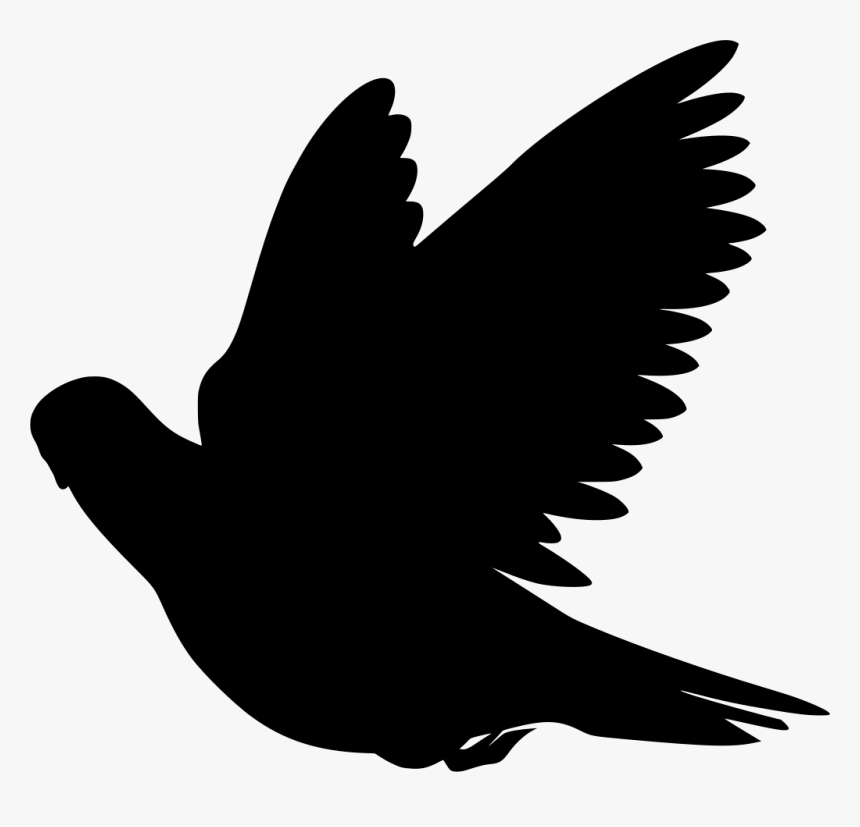 Flying Bird Vector Png, Transparent Png, Free Download