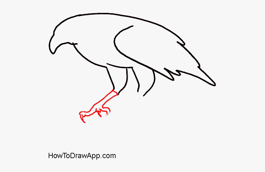 How To Draw An Eagle Sitting On A Tree - Draw An Eagle Claw, HD Png Download, Free Download