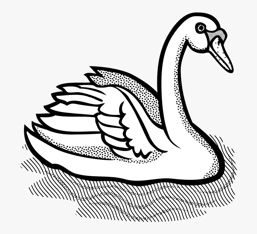 Art,monochrome Photography,duck - Swan Clipart, HD Png Download, Free Download