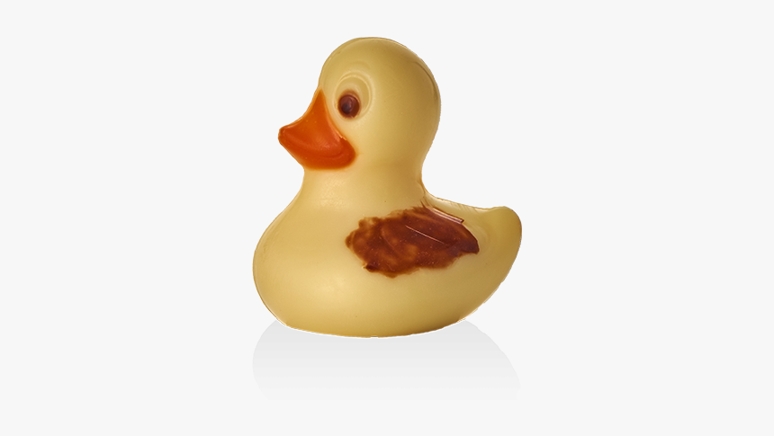 Duck, HD Png Download, Free Download