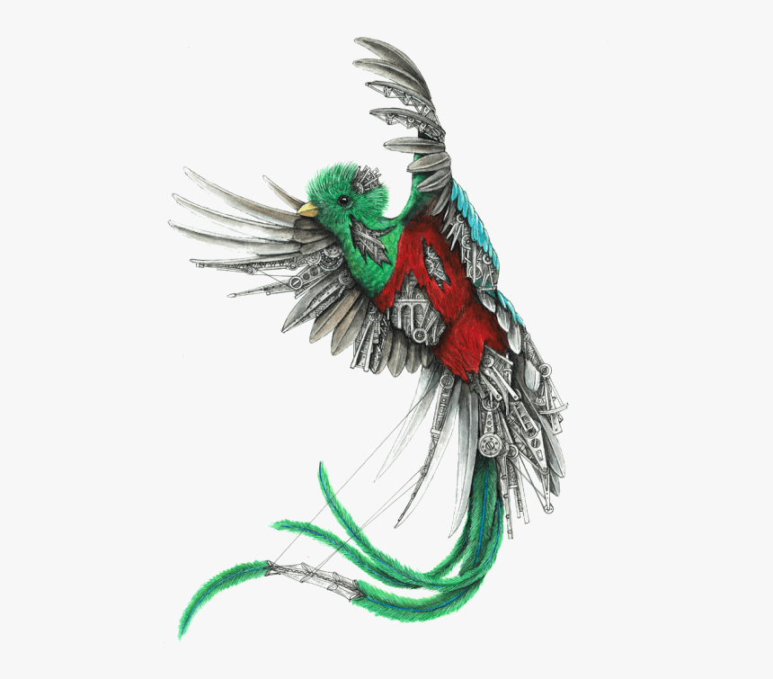 Quetzal Art, HD Png Download, Free Download