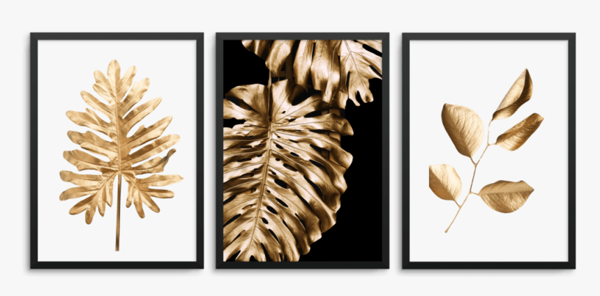 Quadros Folhas, HD Png Download, Free Download