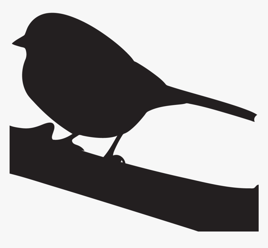 Harris"s Sparrow Overview, All About Birds, Cornell - Golden Crowned Sparrow Silhouette, HD Png Download, Free Download