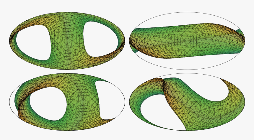 Hammer Projection - Snake, HD Png Download, Free Download