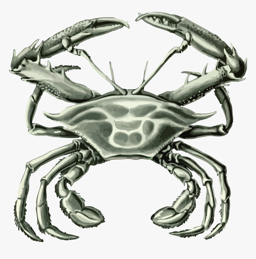 Free Clipart Of A Crab - Crustacean, HD Png Download, Free Download