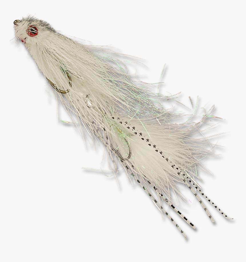 Lynch Mob - White - Insect, HD Png Download, Free Download