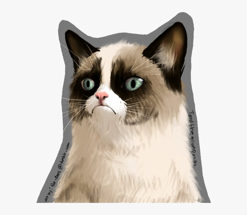 Grumpy Cat Png Free Download Transparent Grumpy Cat Png Download Kindpng