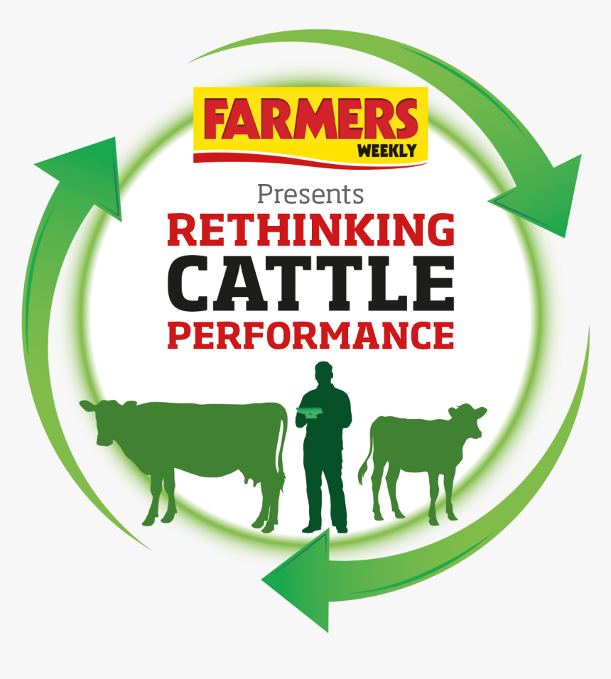 Cattle Logo Brand Goat Agricultural Manager - Farmers Weekly, HD Png Download, Free Download