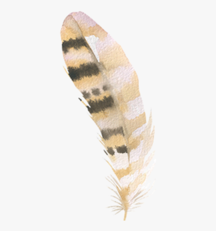 #freetoedit #watercolor #feather - Vascular Plant, HD Png Download, Free Download