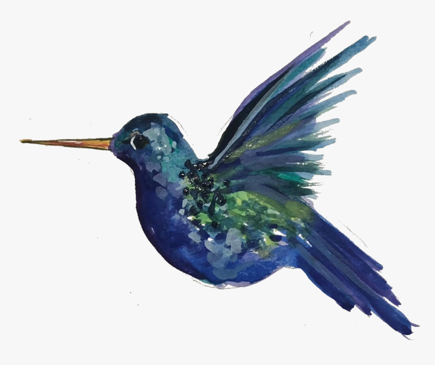 Hummingbird, HD Png Download, Free Download