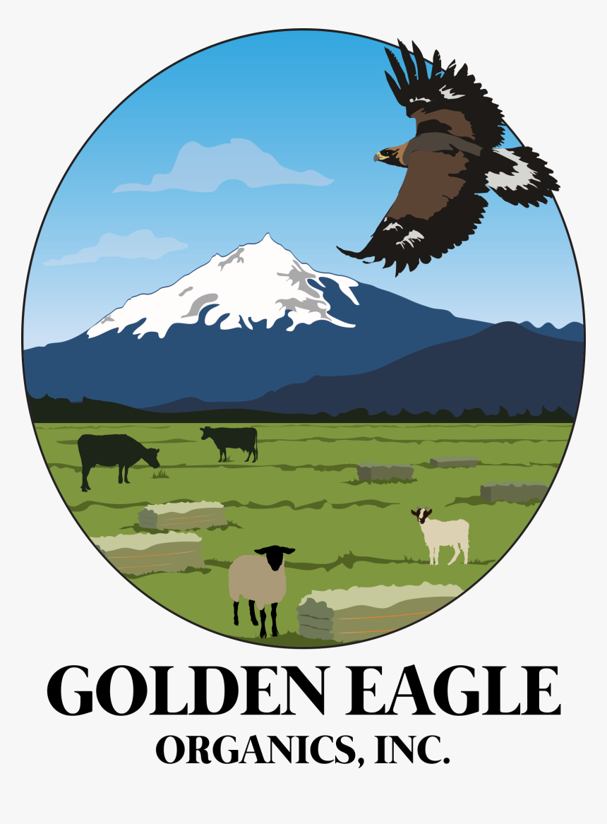 Golden Eagle Organics - Illustration, HD Png Download, Free Download