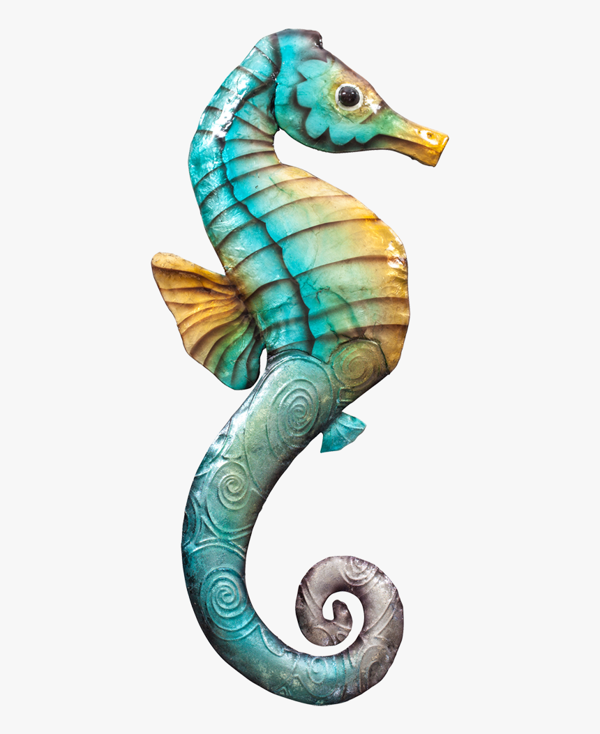 Northern Seahorse, HD Png Download - kindpng