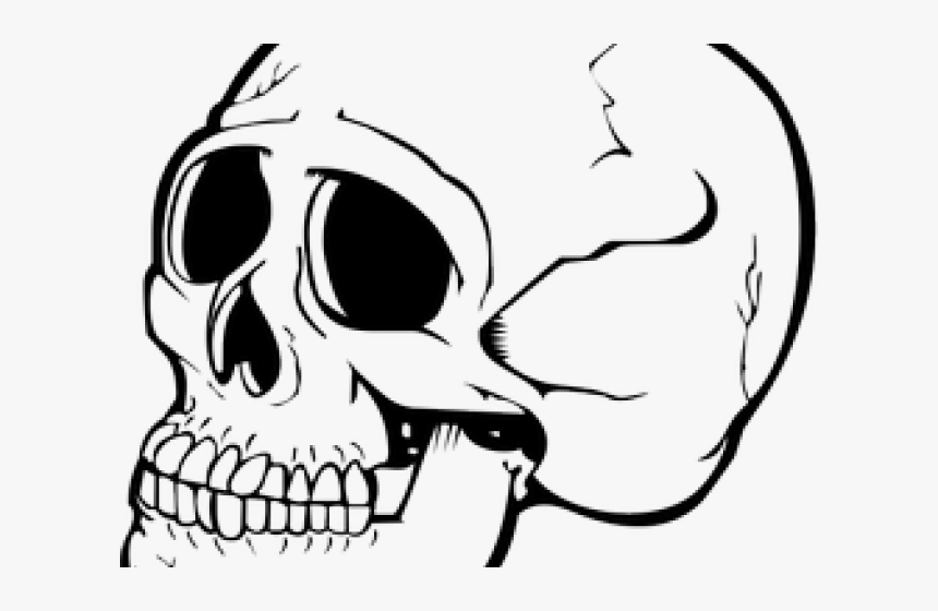 Skeleton Clipart Nose - Skull Png Icon, Transparent Png, Free Download