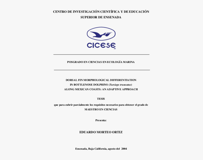 Document, HD Png Download, Free Download