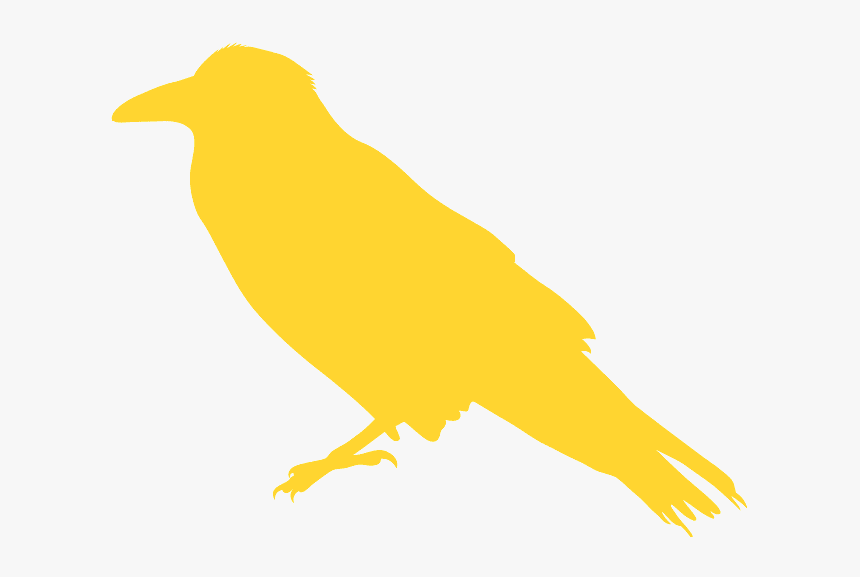 Perching Bird, HD Png Download, Free Download