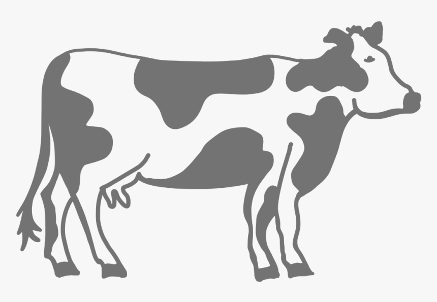 Quilt And Cow - Dairy Cow, HD Png Download, Free Download